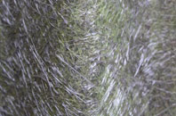 Llandeilor Fan fibreglass roof work